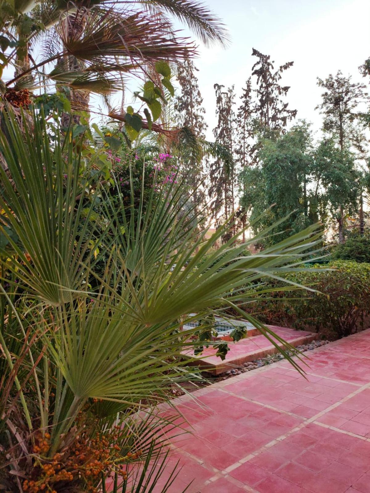Riad Sheherazade Marrakech Marrakesh Eksteriør bilde