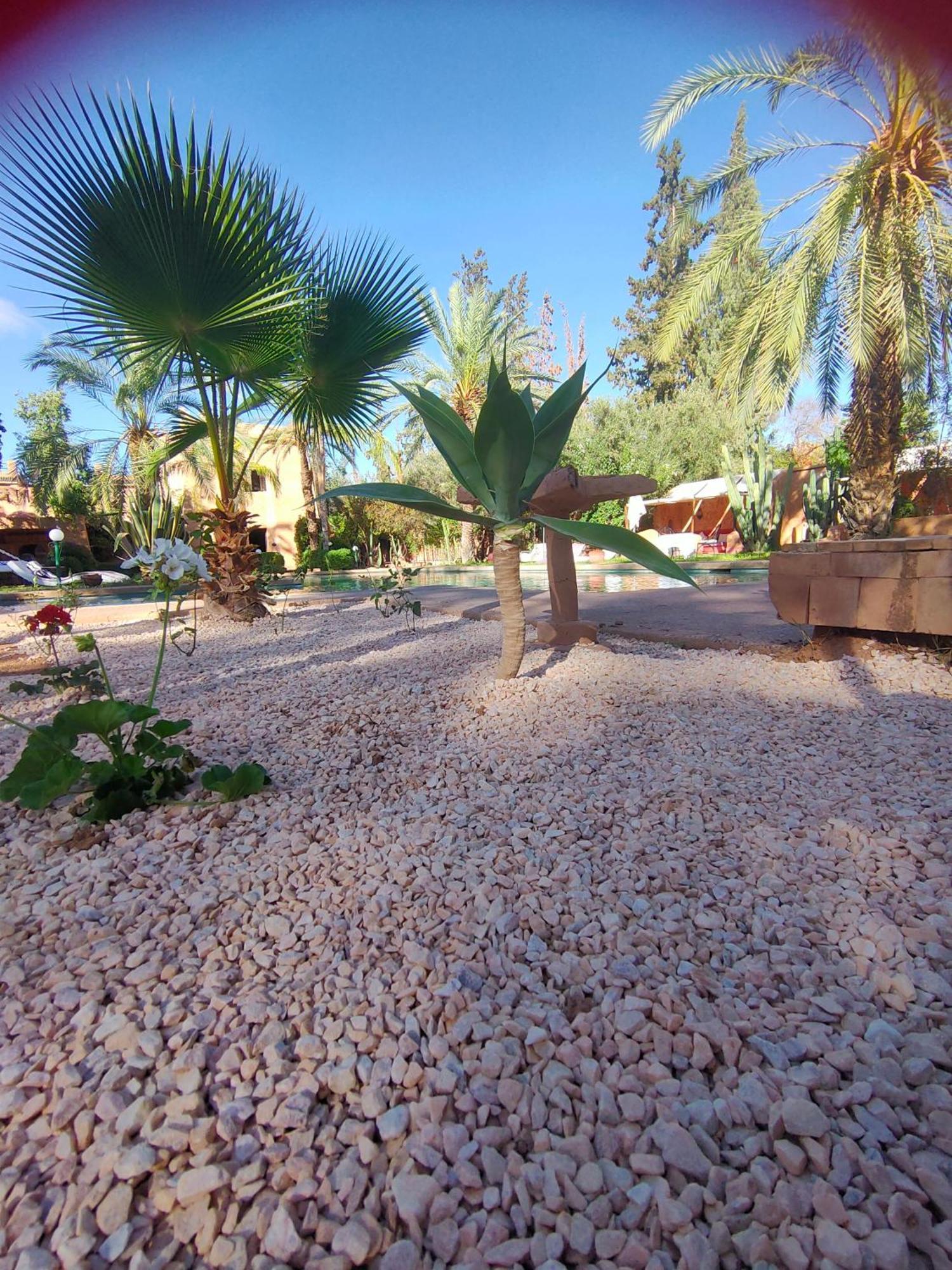Riad Sheherazade Marrakech Marrakesh Rom bilde